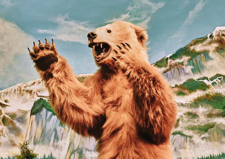 Dream about a bear attacking